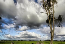 苹果微信TF多开分身飞虎微商激活码卡密授权