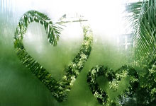 苹果微信TF多开分身飞虎微商激活码卡密授权