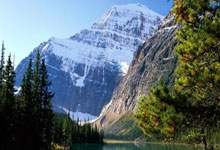 苹果微信TF多开分身飞虎微商激活码卡密授权