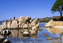 苹果微信TF多开分身飞虎微商激活码卡密授权